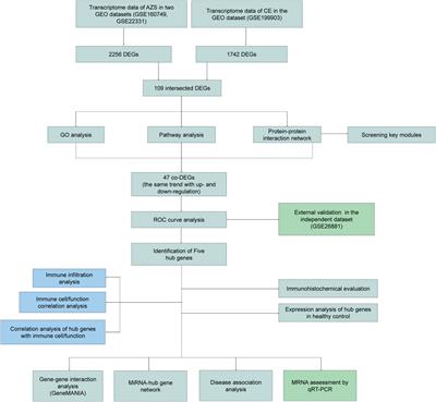 Identification of hub genes and biological mechanisms underlying the pathogenesis of asthenozoospermia and chronic epididymitis